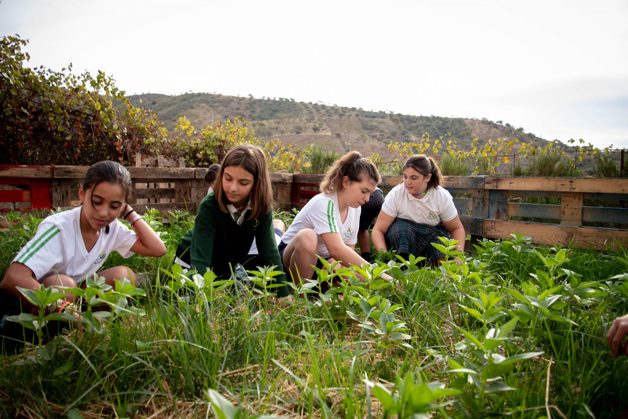 LourdesNov22- Retocadas-105